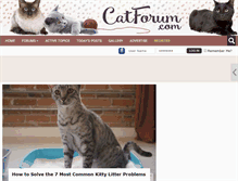 Tablet Screenshot of catforum.com